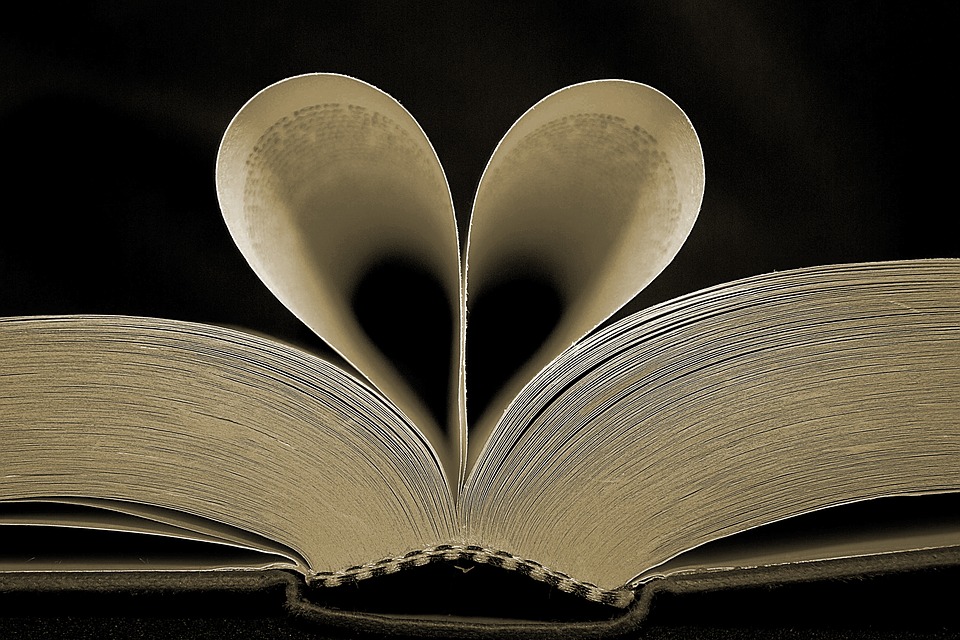 Reading Book Love Heart